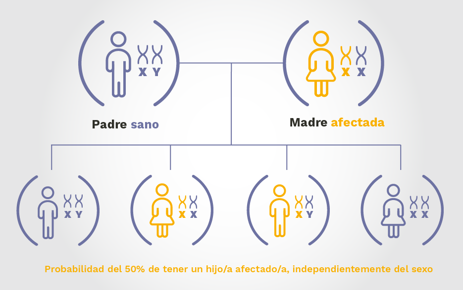 Gráfico explicativo del patrón de herencia genética de XLH