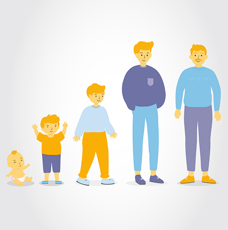 Ilustración del crecimiento de una persona desde su etapa de bebé hasta su adultez
